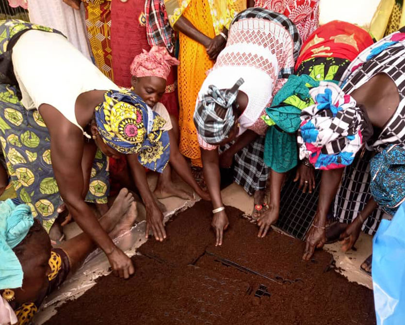 Soutient de l'agroforesterie au Sénégal avec l'APAF 